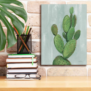 'Front Yard Cactus I Slate' by Silvia Vassileva, Canvas Wall Art,12 x 16