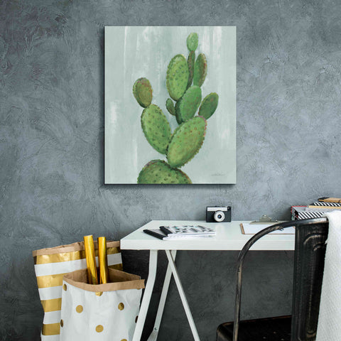 Image of 'Front Yard Cactus I Slate' by Silvia Vassileva, Canvas Wall Art,20 x 24