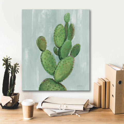 Image of 'Front Yard Cactus I Slate' by Silvia Vassileva, Canvas Wall Art,20 x 24