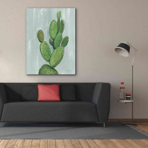 'Front Yard Cactus I Slate' by Silvia Vassileva, Canvas Wall Art,40 x 54