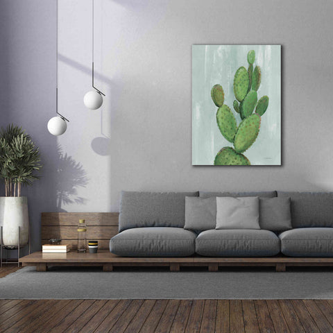 Image of 'Front Yard Cactus I Slate' by Silvia Vassileva, Canvas Wall Art,40 x 54