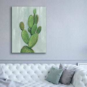 'Front Yard Cactus I Slate' by Silvia Vassileva, Canvas Wall Art,40 x 54