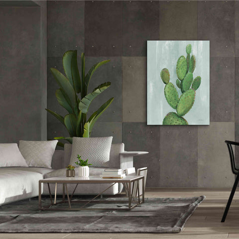 Image of 'Front Yard Cactus I Slate' by Silvia Vassileva, Canvas Wall Art,40 x 54