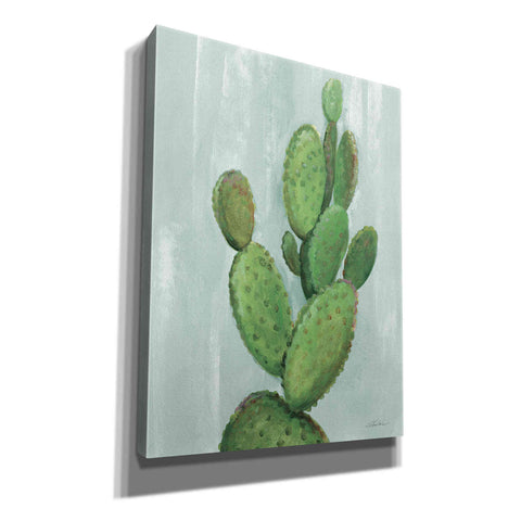 Image of 'Front Yard Cactus I Slate' by Silvia Vassileva, Canvas Wall Art,12x16x1.1x0,20x24x1.1x0,26x30x1.74x0,40x54x1.74x0