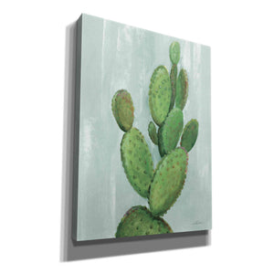 'Front Yard Cactus I Slate' by Silvia Vassileva, Canvas Wall Art,12x16x1.1x0,20x24x1.1x0,26x30x1.74x0,40x54x1.74x0