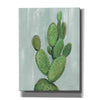'Front Yard Cactus I Slate' by Silvia Vassileva, Canvas Wall Art,12x16x1.1x0,20x24x1.1x0,26x30x1.74x0,40x54x1.74x0