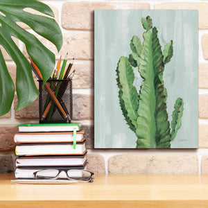 'Front Yard Cactus II Slate' by Silvia Vassileva, Canvas Wall Art,12 x 16