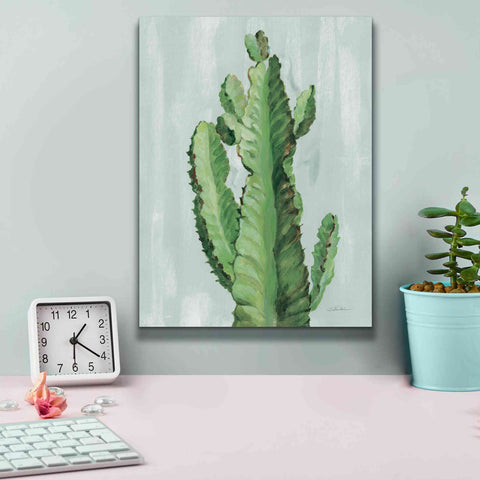 Image of 'Front Yard Cactus II Slate' by Silvia Vassileva, Canvas Wall Art,12 x 16