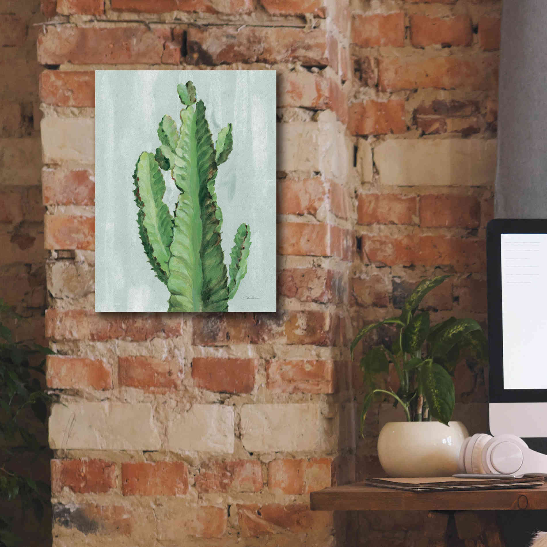 'Front Yard Cactus II Slate' by Silvia Vassileva, Canvas Wall Art,12 x 16