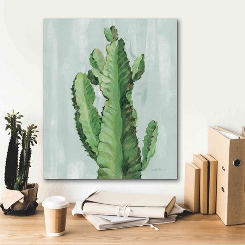 Image of 'Front Yard Cactus II Slate' by Silvia Vassileva, Canvas Wall Art,20 x 24
