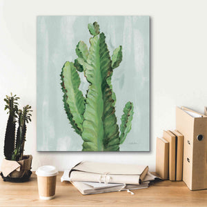 'Front Yard Cactus II Slate' by Silvia Vassileva, Canvas Wall Art,20 x 24