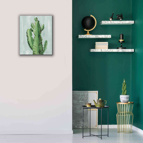 Image of 'Front Yard Cactus II Slate' by Silvia Vassileva, Canvas Wall Art,20 x 24