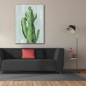 'Front Yard Cactus II Slate' by Silvia Vassileva, Canvas Wall Art,40 x 54