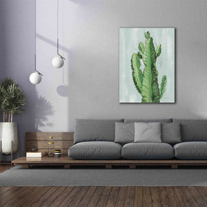 'Front Yard Cactus II Slate' by Silvia Vassileva, Canvas Wall Art,40 x 54