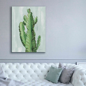 'Front Yard Cactus II Slate' by Silvia Vassileva, Canvas Wall Art,40 x 54