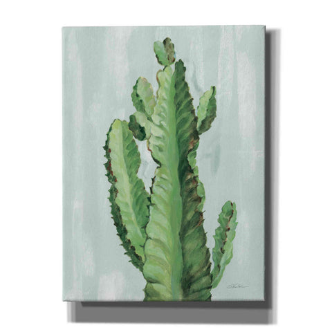 Image of 'Front Yard Cactus II Slate' by Silvia Vassileva, Canvas Wall Art,12x16x1.1x0,20x24x1.1x0,26x30x1.74x0,40x54x1.74x0