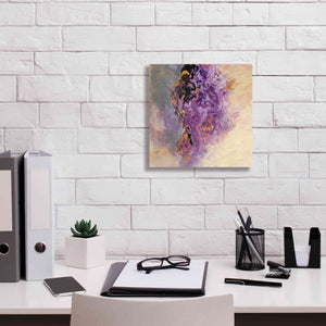 'Amethyst' by Silvia Vassileva, Canvas Wall Art,12 x 12