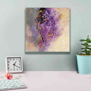 'Amethyst' by Silvia Vassileva, Canvas Wall Art,12 x 12