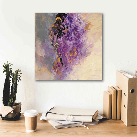 Image of 'Amethyst' by Silvia Vassileva, Canvas Wall Art,18 x 18