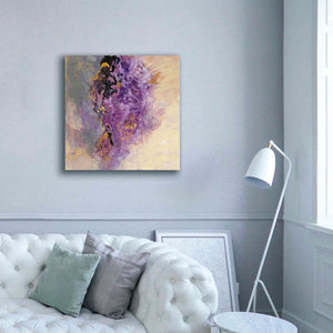 'Amethyst' by Silvia Vassileva, Canvas Wall Art,37 x 37