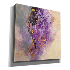 'Amethyst' by Silvia Vassileva, Canvas Wall Art,12x12x1.1x0,18x18x1.1x0,26x26x1.74x0,37x37x1.74x0