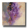 'Amethyst' by Silvia Vassileva, Canvas Wall Art,12x12x1.1x0,18x18x1.1x0,26x26x1.74x0,37x37x1.74x0