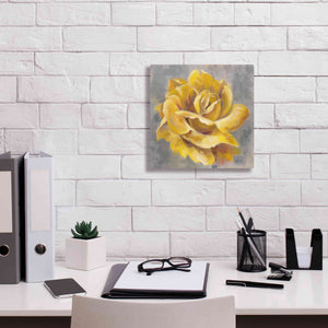 'Yellow Roses I' by Silvia Vassileva, Canvas Wall Art,12 x 12