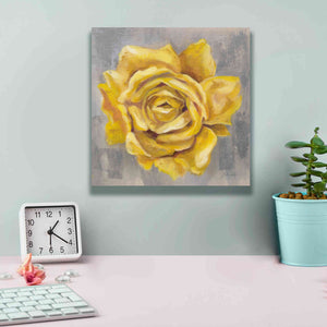 'Yellow Roses II' by Silvia Vassileva, Canvas Wall Art,12 x 12