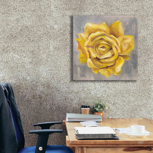 'Yellow Roses II' by Silvia Vassileva, Canvas Wall Art,26 x 26