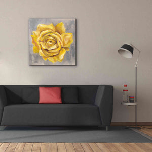 'Yellow Roses II' by Silvia Vassileva, Canvas Wall Art,37 x 37