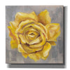 'Yellow Roses II' by Silvia Vassileva, Canvas Wall Art,12x12x1.1x0,18x18x1.1x0,26x26x1.74x0,37x37x1.74x0