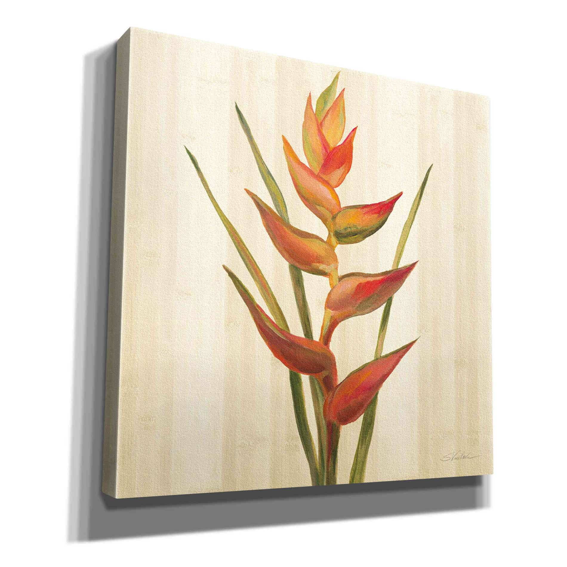 'Tropical Garden I' by Silvia Vassileva, Canvas Wall Art,12x12x1.1x0,18x18x1.1x0,26x26x1.74x0,37x37x1.74x0