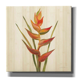 'Tropical Garden I' by Silvia Vassileva, Canvas Wall Art,12x12x1.1x0,18x18x1.1x0,26x26x1.74x0,37x37x1.74x0