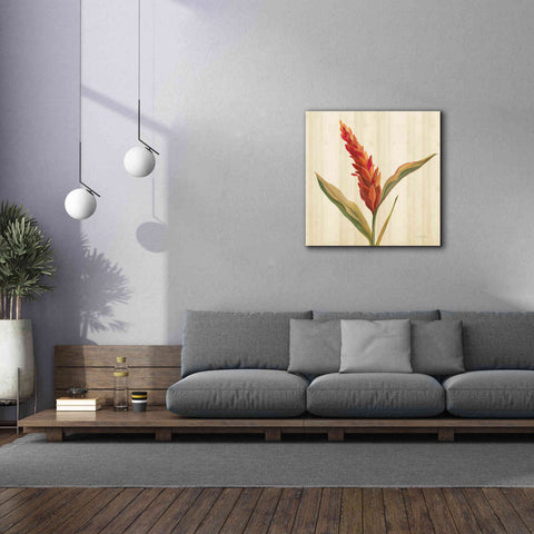 Image of 'Tropical Garden II' by Silvia Vassileva, Canvas Wall Art,37 x 37