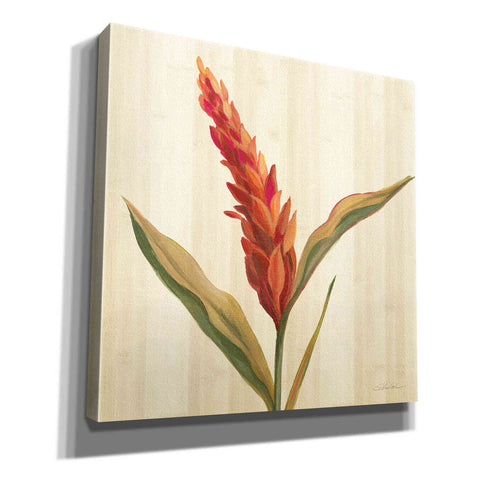 Image of 'Tropical Garden II' by Silvia Vassileva, Canvas Wall Art,12x12x1.1x0,18x18x1.1x0,26x26x1.74x0,37x37x1.74x0