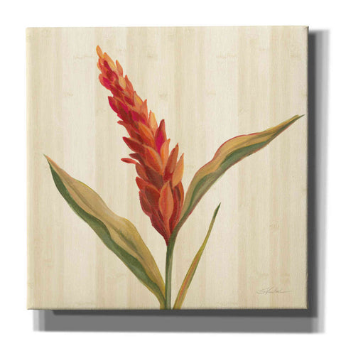 Image of 'Tropical Garden II' by Silvia Vassileva, Canvas Wall Art,12x12x1.1x0,18x18x1.1x0,26x26x1.74x0,37x37x1.74x0