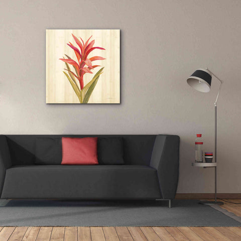 Image of 'Tropical Garden III' by Silvia Vassileva, Canvas Wall Art,37 x 37