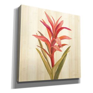'Tropical Garden III' by Silvia Vassileva, Canvas Wall Art,12x12x1.1x0,18x18x1.1x0,26x26x1.74x0,37x37x1.74x0