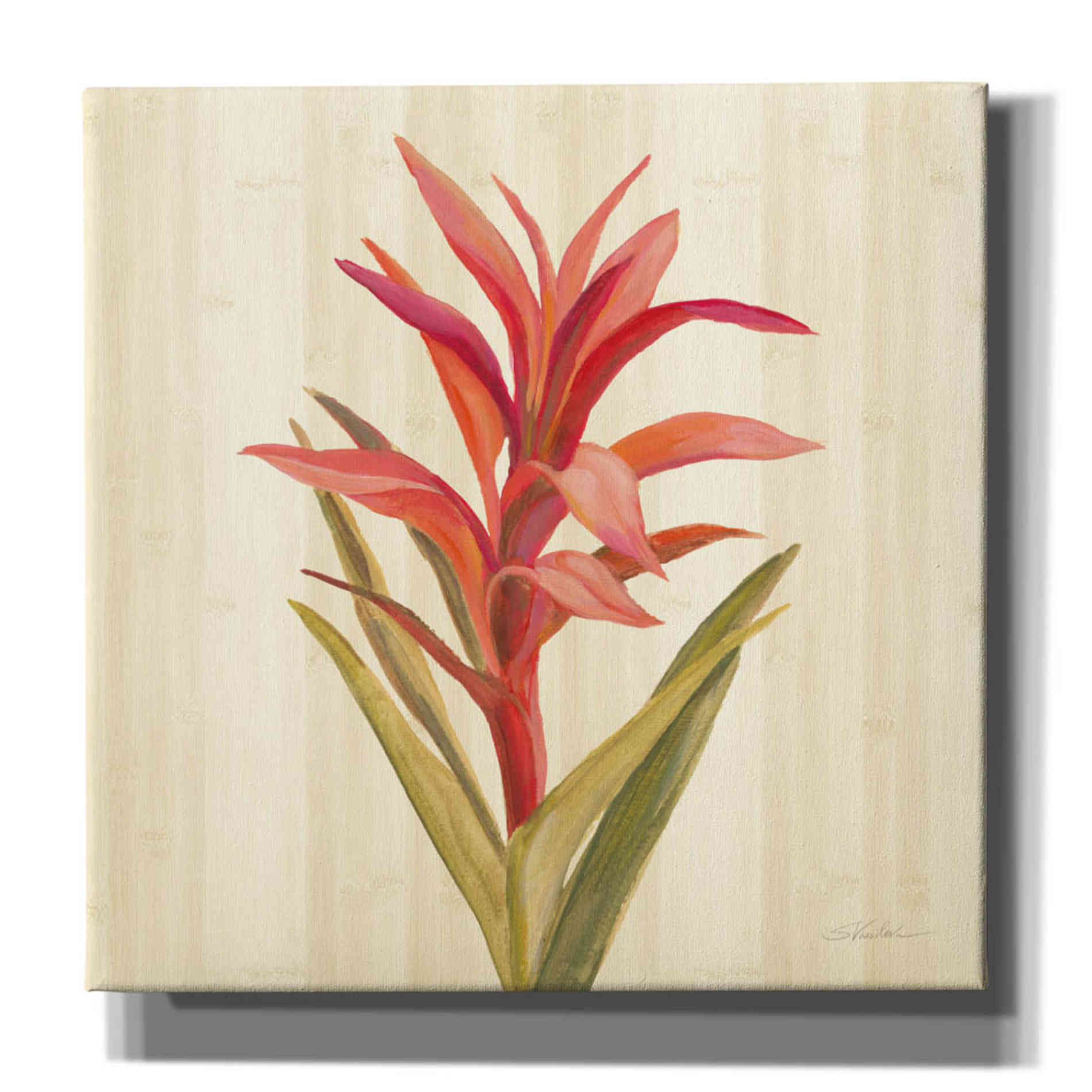 'Tropical Garden III' by Silvia Vassileva, Canvas Wall Art,12x12x1.1x0,18x18x1.1x0,26x26x1.74x0,37x37x1.74x0