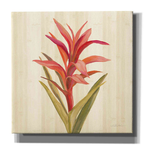 Image of 'Tropical Garden III' by Silvia Vassileva, Canvas Wall Art,12x12x1.1x0,18x18x1.1x0,26x26x1.74x0,37x37x1.74x0