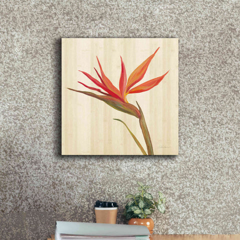 Image of 'Tropical Garden IV' by Silvia Vassileva, Canvas Wall Art,18 x 18