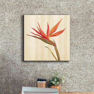 'Tropical Garden IV' by Silvia Vassileva, Canvas Wall Art,18 x 18