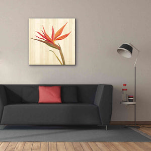 'Tropical Garden IV' by Silvia Vassileva, Canvas Wall Art,37 x 37