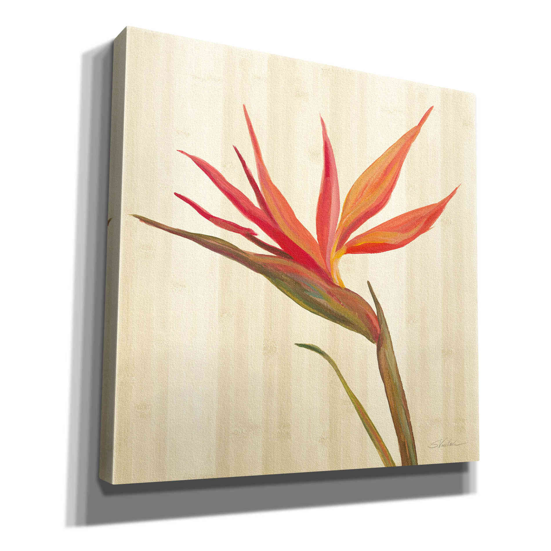 'Tropical Garden IV' by Silvia Vassileva, Canvas Wall Art,12x12x1.1x0,18x18x1.1x0,26x26x1.74x0,37x37x1.74x0