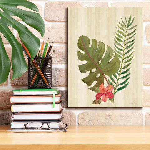 Image of 'Tropical Garden V' by Silvia Vassileva, Canvas Wall Art,12 x 16