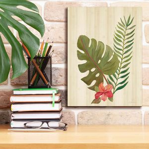 'Tropical Garden V' by Silvia Vassileva, Canvas Wall Art,12 x 16