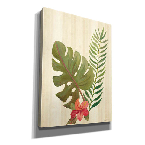 Image of 'Tropical Garden V' by Silvia Vassileva, Canvas Wall Art,12x16x1.1x0,20x24x1.1x0,26x30x1.74x0,40x54x1.74x0