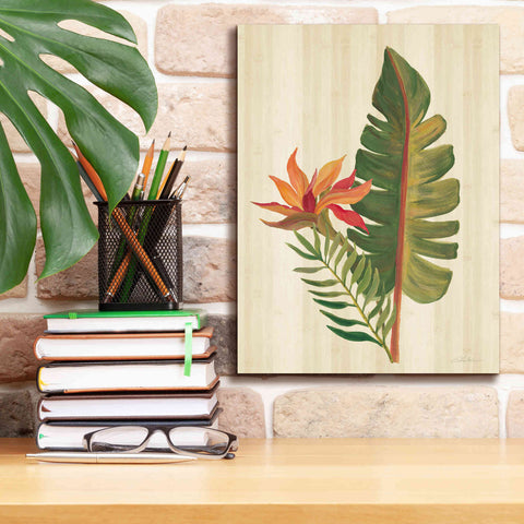 Image of 'Tropical Garden VI' by Silvia Vassileva, Canvas Wall Art,12 x 16
