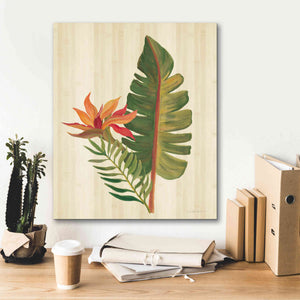 'Tropical Garden VI' by Silvia Vassileva, Canvas Wall Art,20 x 24