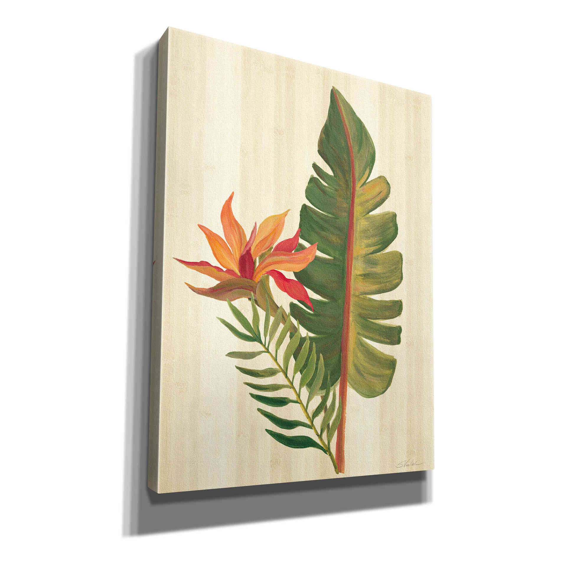 'Tropical Garden VI' by Silvia Vassileva, Canvas Wall Art,12x16x1.1x0,20x24x1.1x0,26x30x1.74x0,40x54x1.74x0